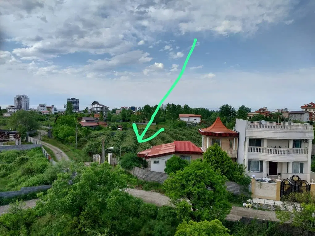 زمین250متری جنگلی جاده چالوس