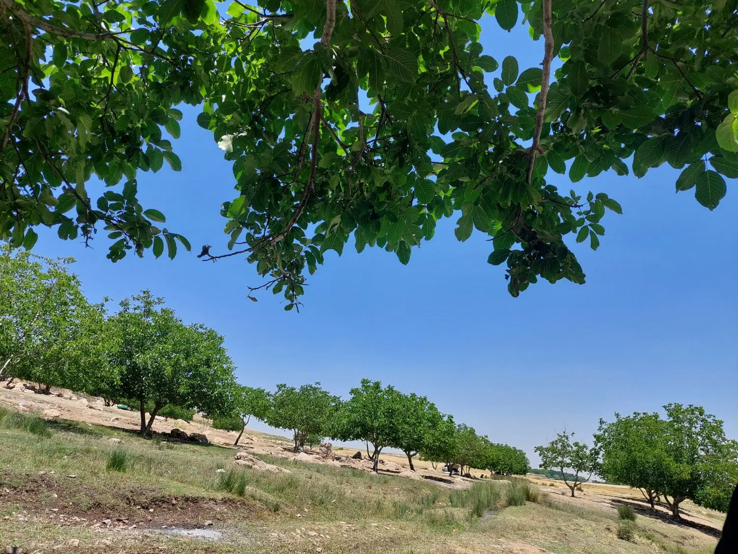 زمین مشاغل