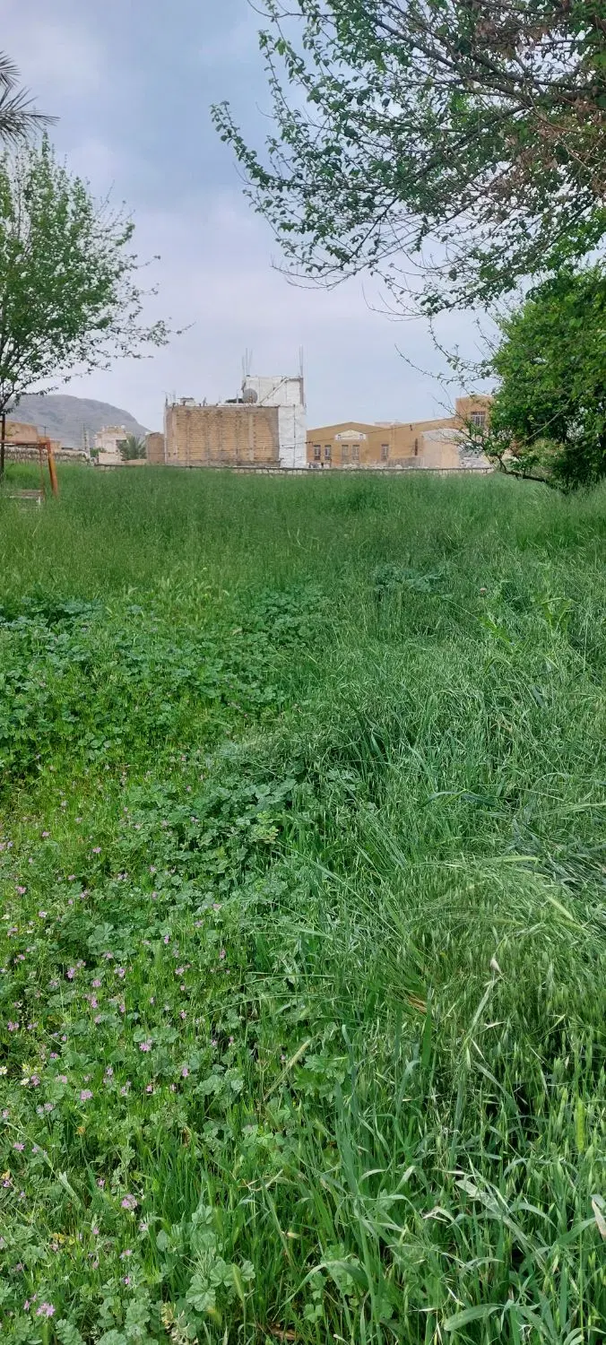زمین جهت ساخت و ساز منطقه قدیمی شهر