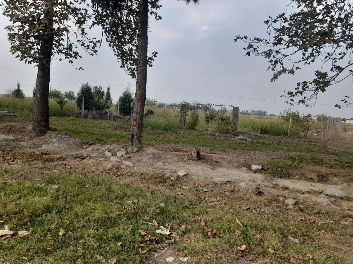 فروش زمین ۹۲۰ سخنکلا و جلین