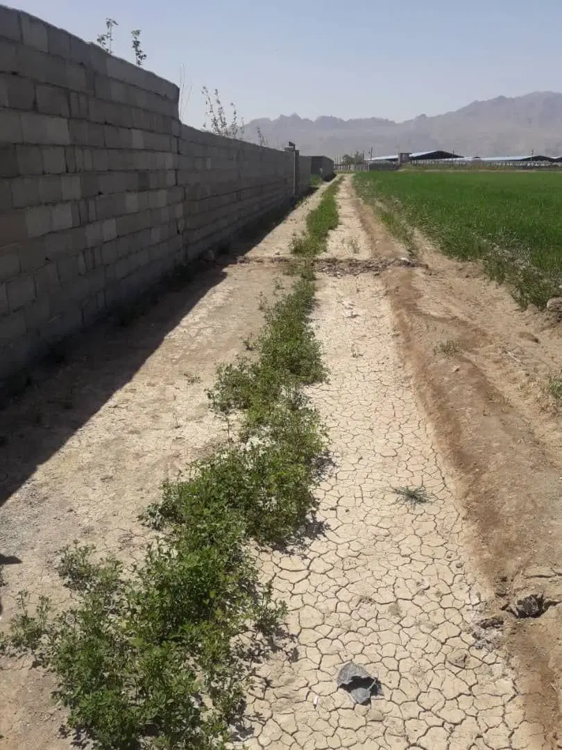 ۴ دیواری باغی اصفهانک