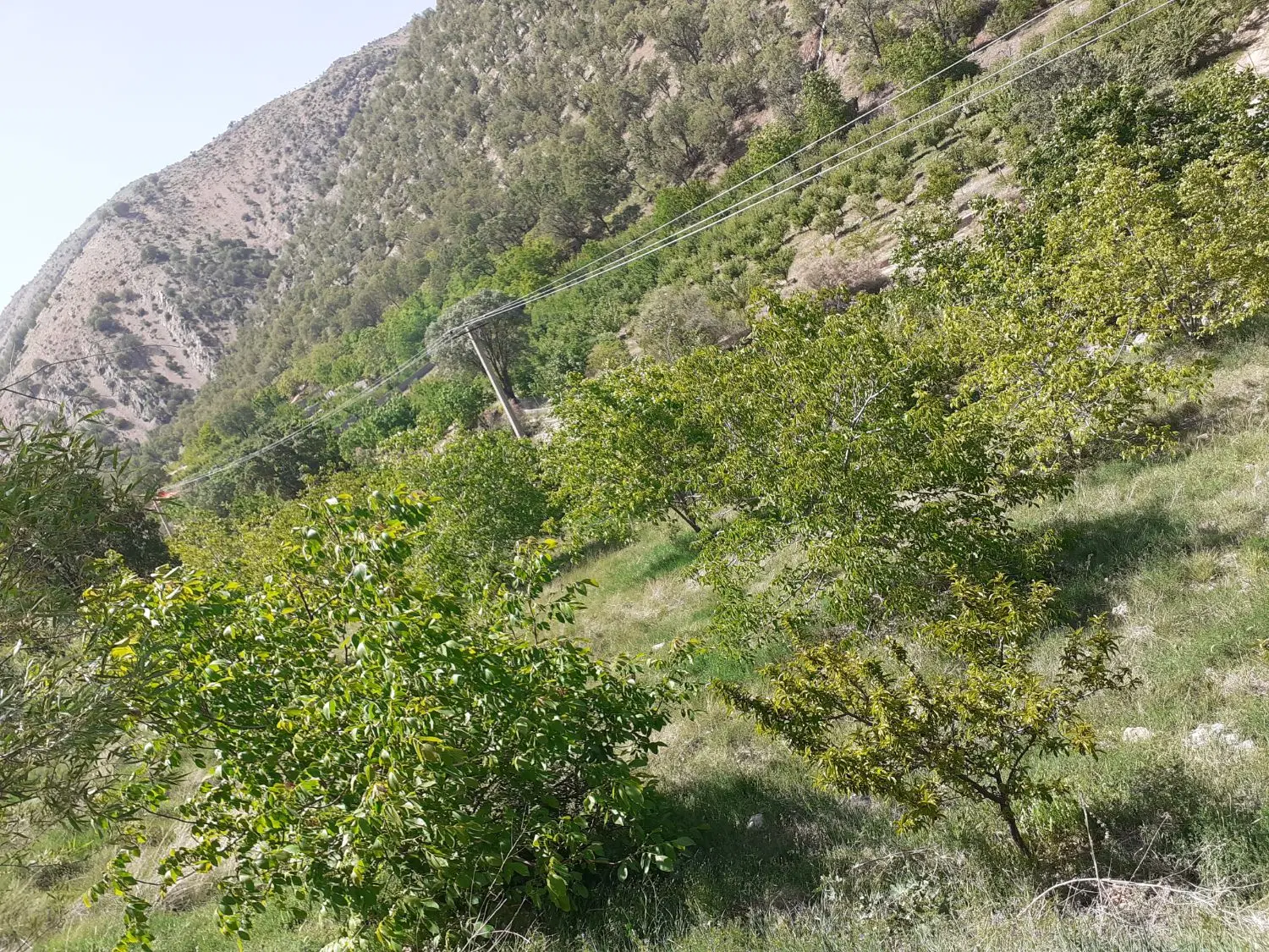 فروش زمین