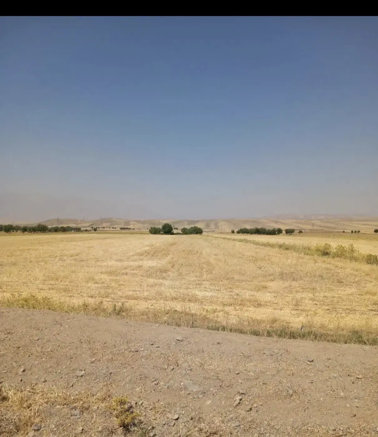 زمین کشاورزی دیم در روستای خوشاب سفلی