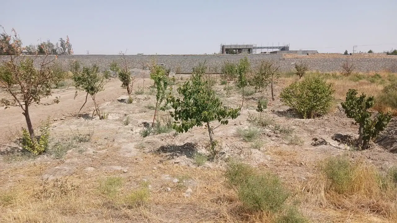 خان سعادت ۹۰۰ متر زمین داخل مجموعه