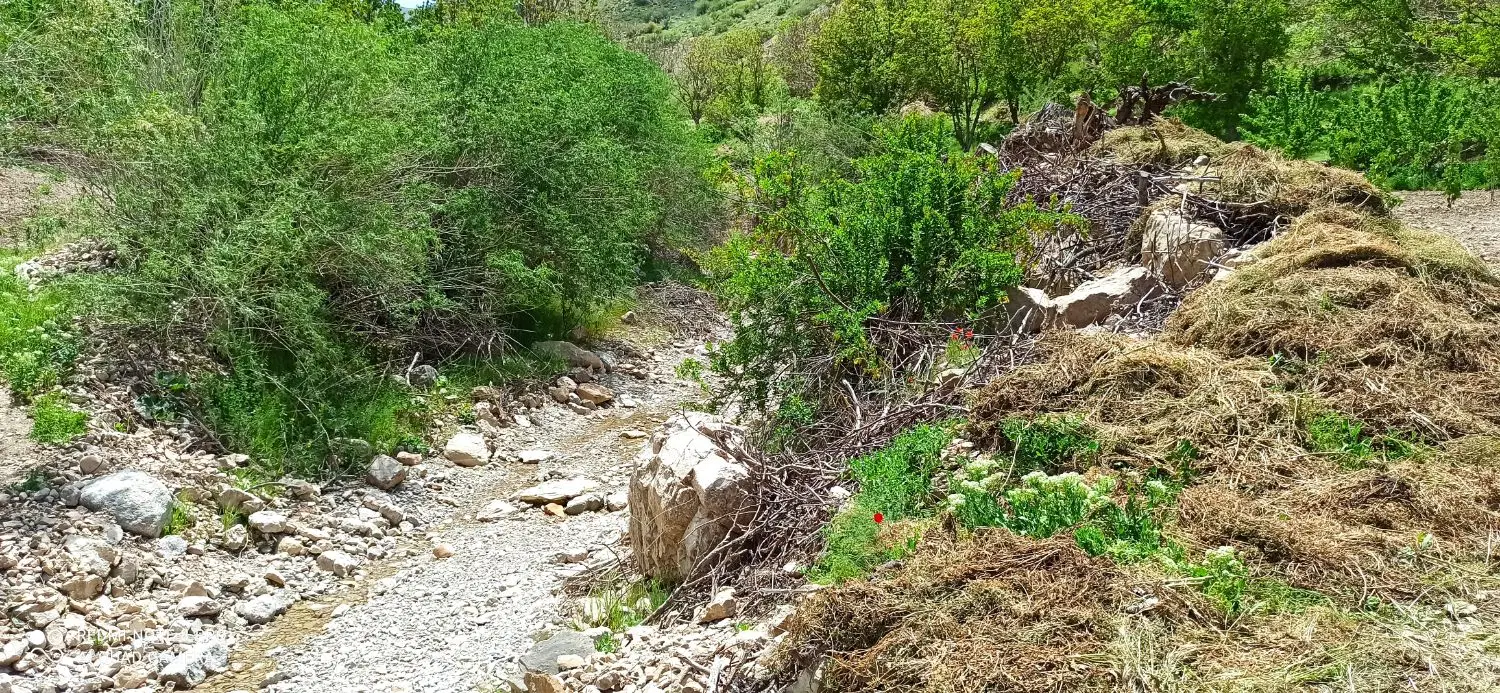 باغ فروشی روستای اردغان.منطقه دیدنی بازه