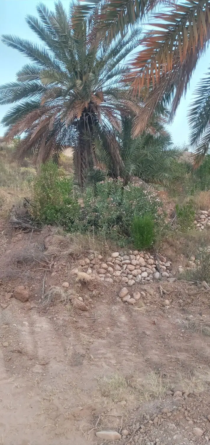 فروش زمین