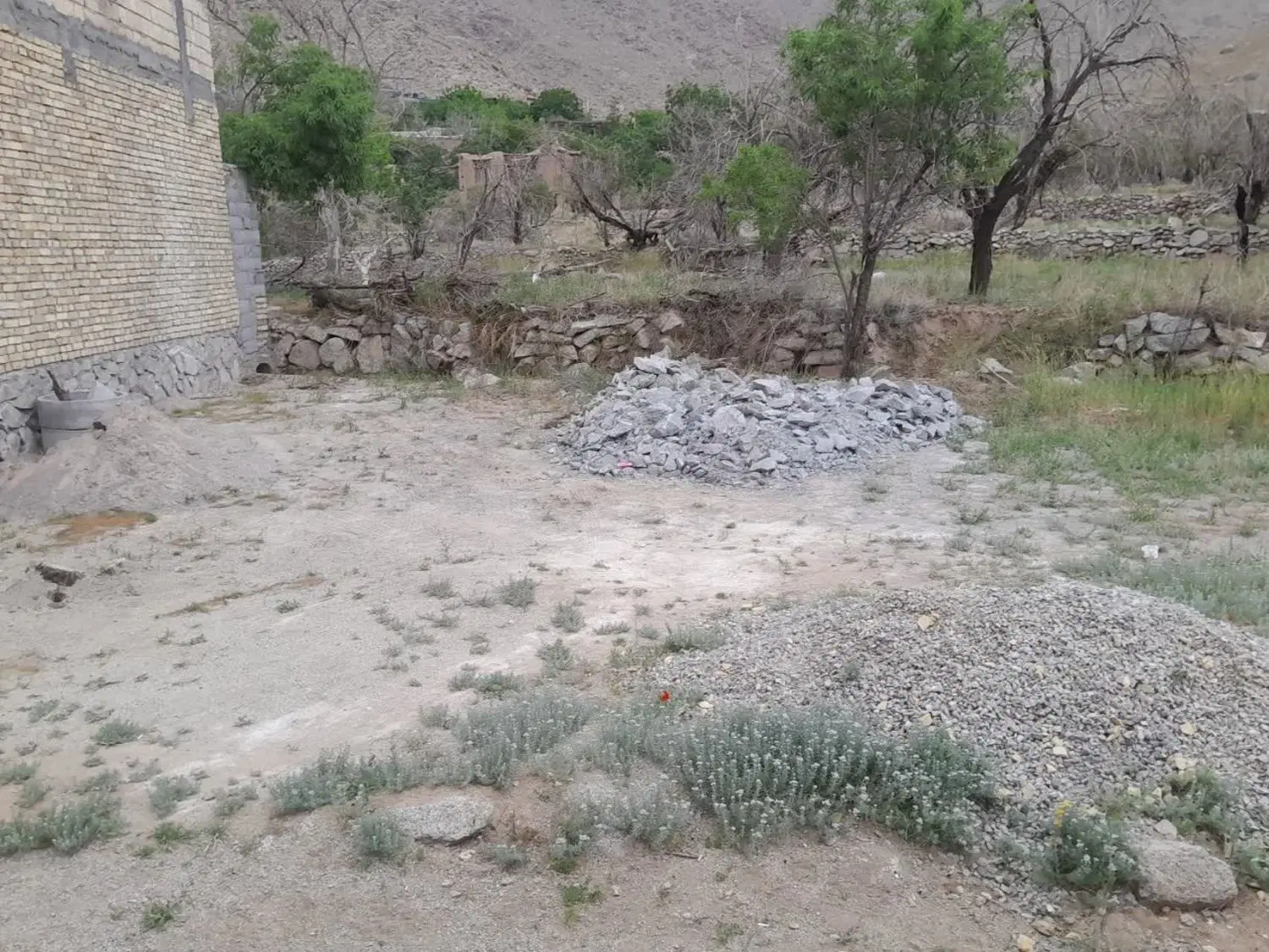 زمین منشاد