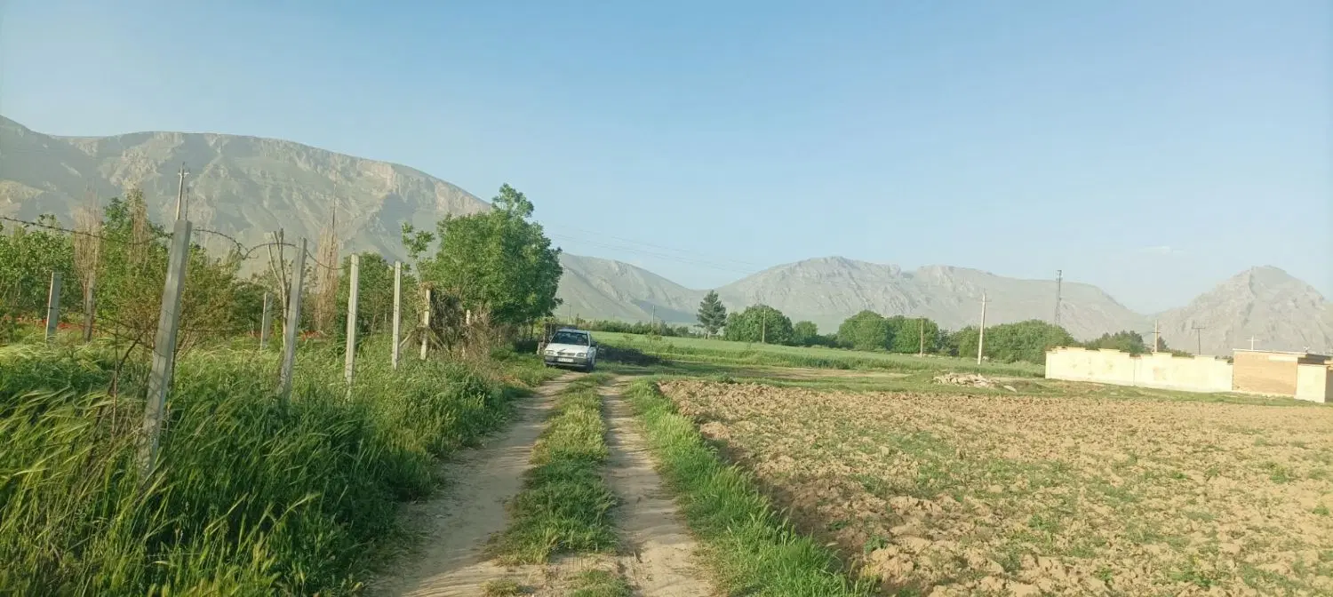 باغ میوه مثمر