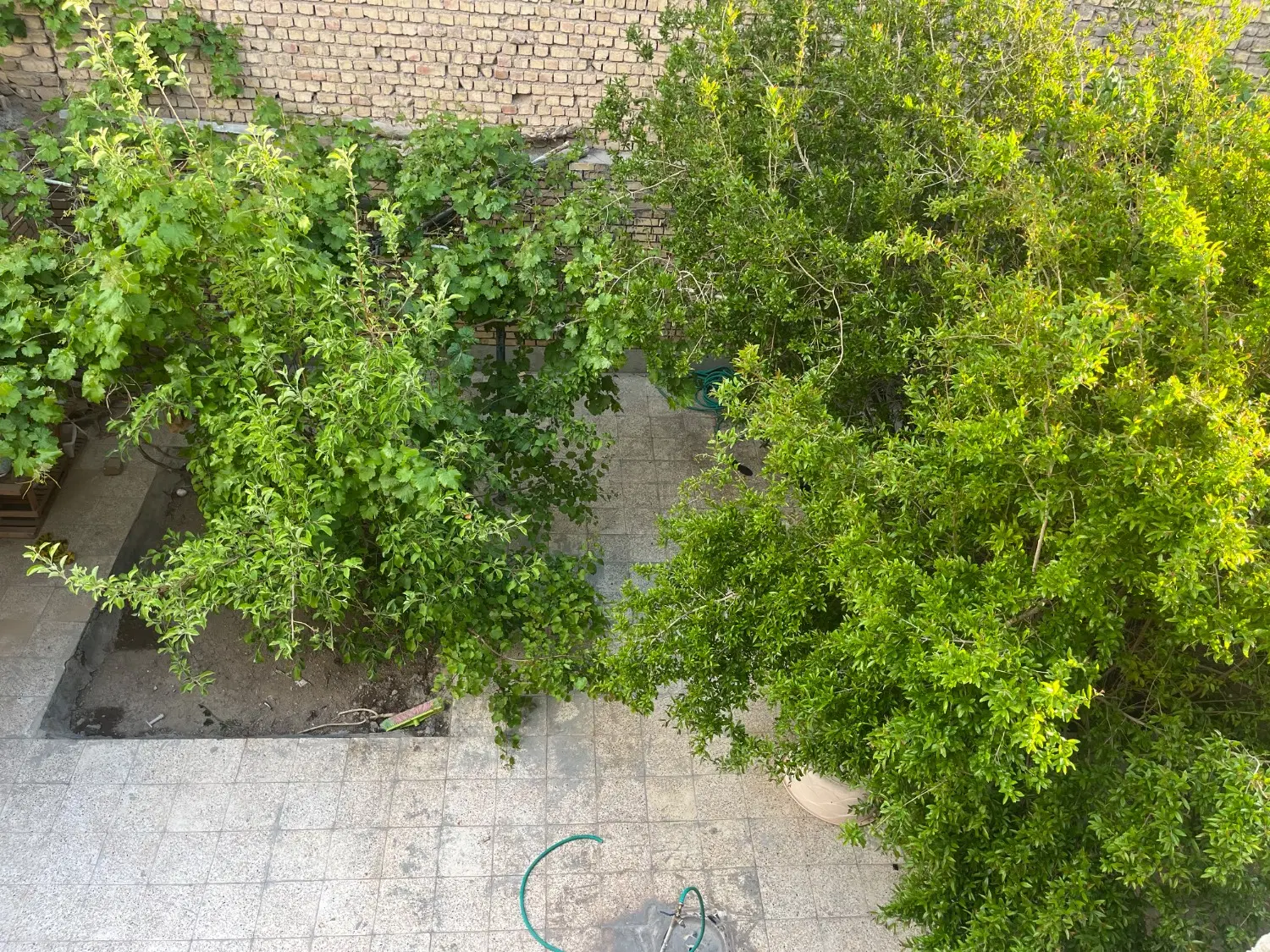 منزل اجاره ای