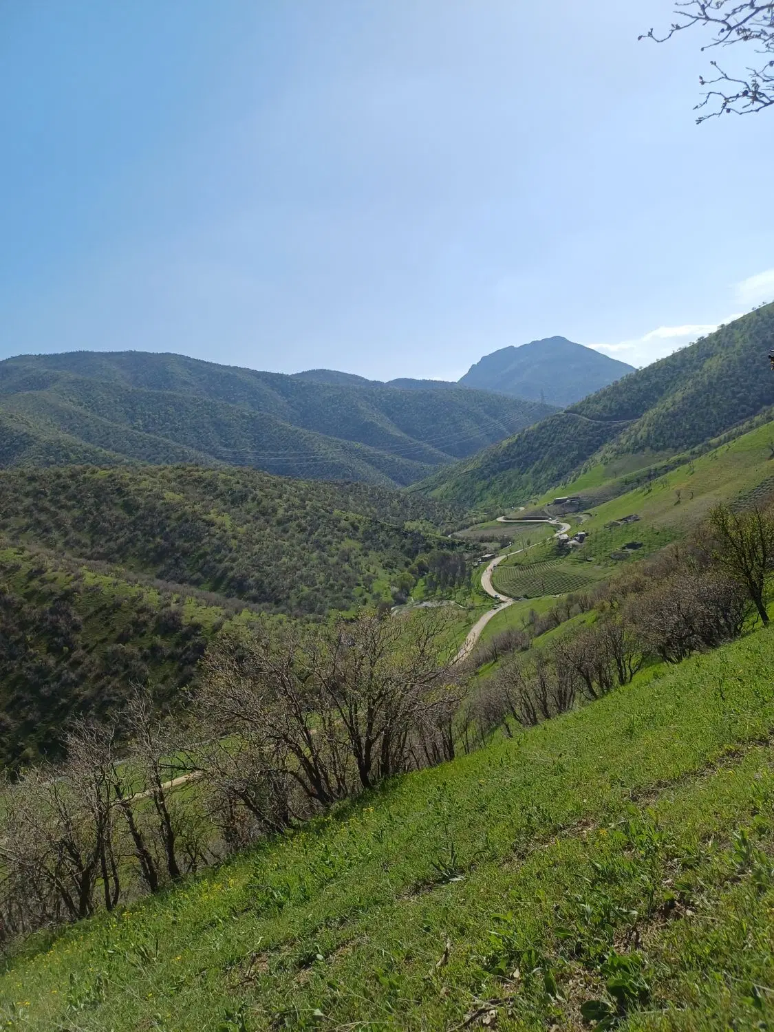 معاوضه زمین مسکونی باخانه