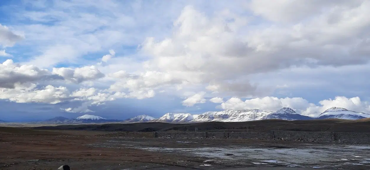 یک هکتار