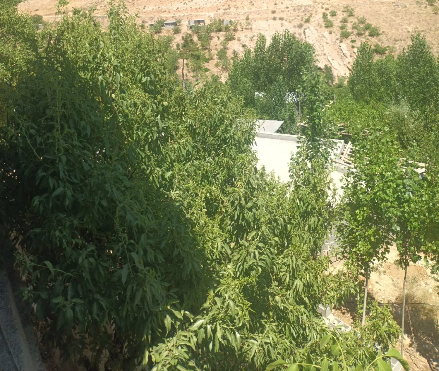 ویلا باغ هماشهر