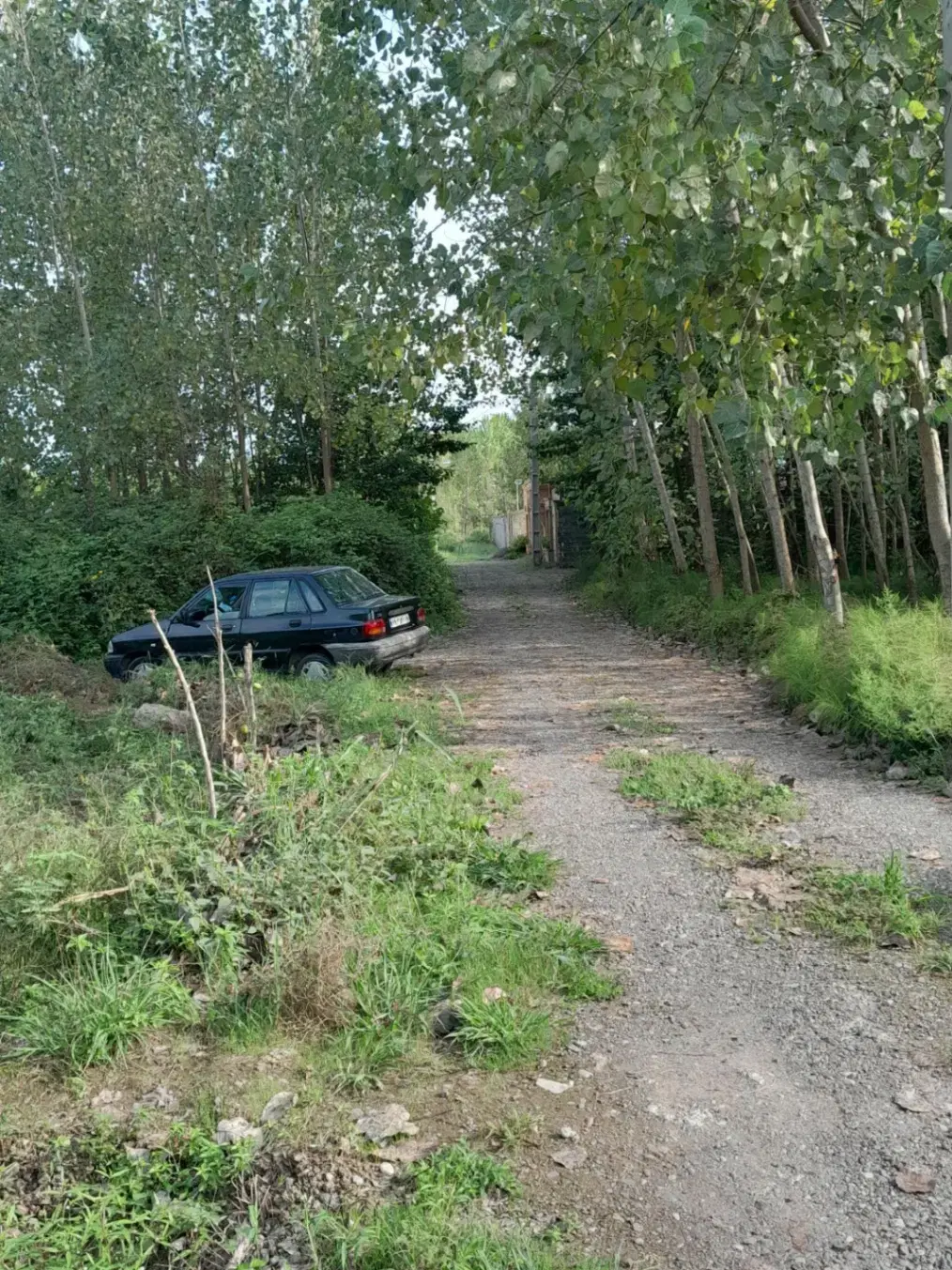فروش زمین 600 متری روستای لله کا خمام
