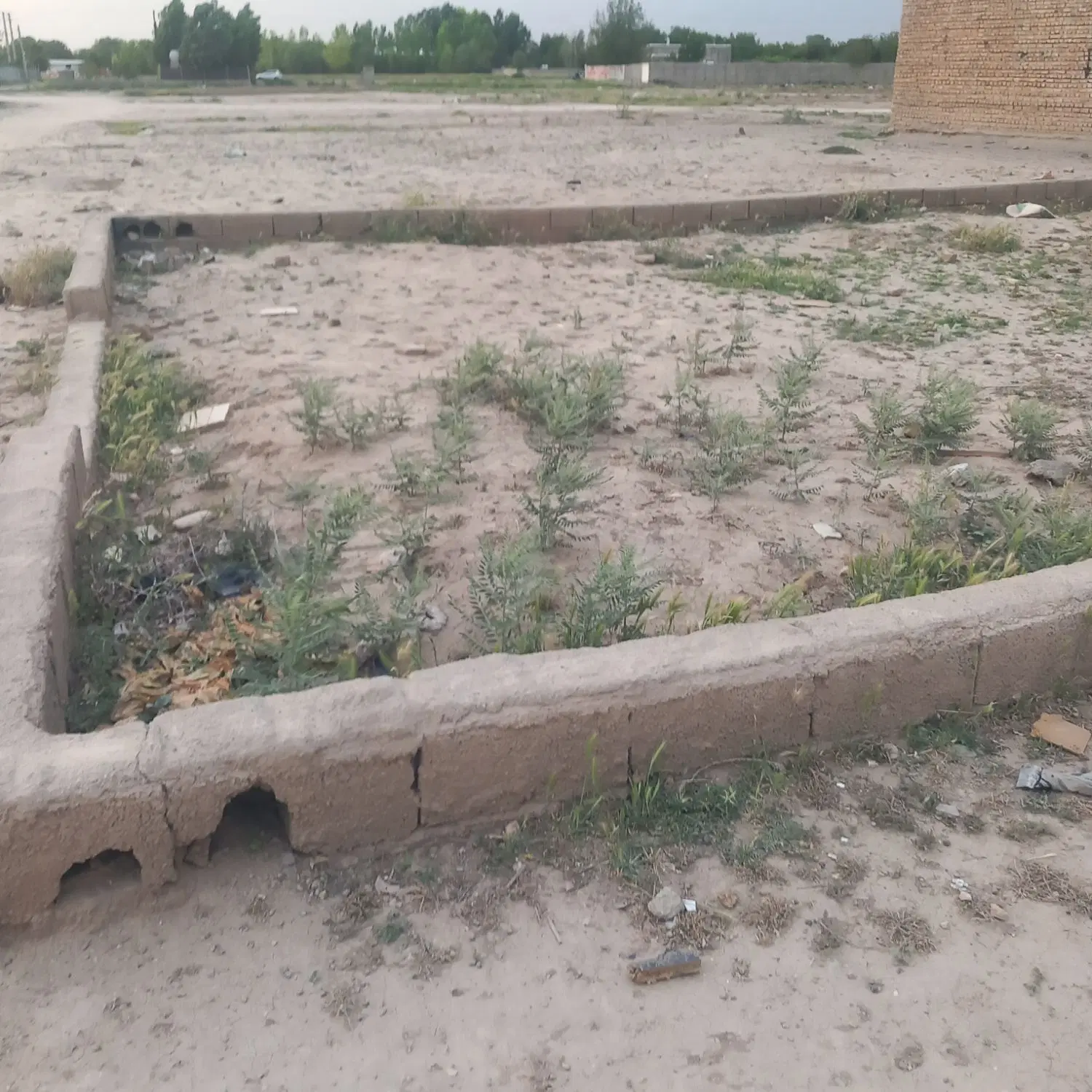 فروش زمین