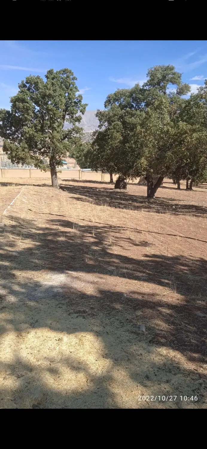 زمین کشاورزی ۱۱۶۵۱ متر مربع ، اول جاده کالوس یاسوج