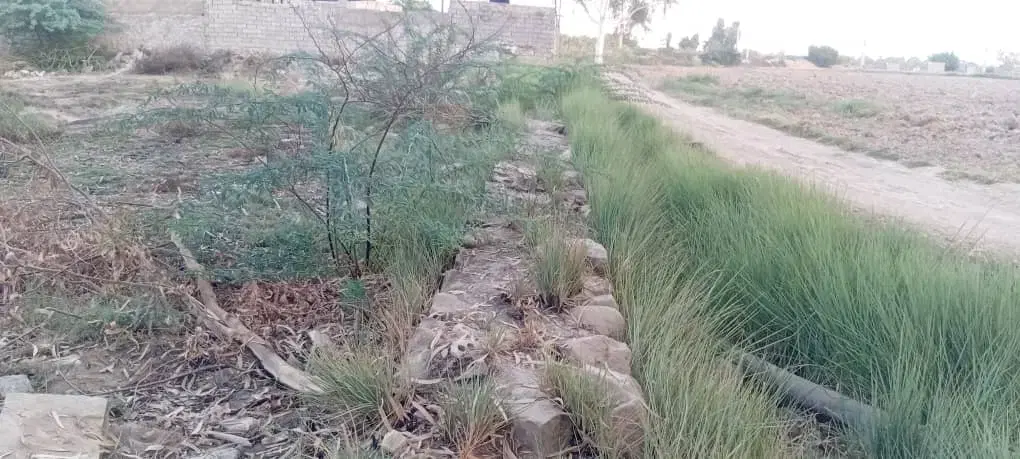 اجاره زمین جهت ساخت دامداری مرغداری و غیره  رایگان
