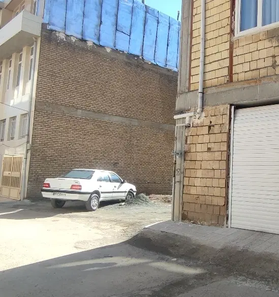 زمین تک برگ  داروپخش