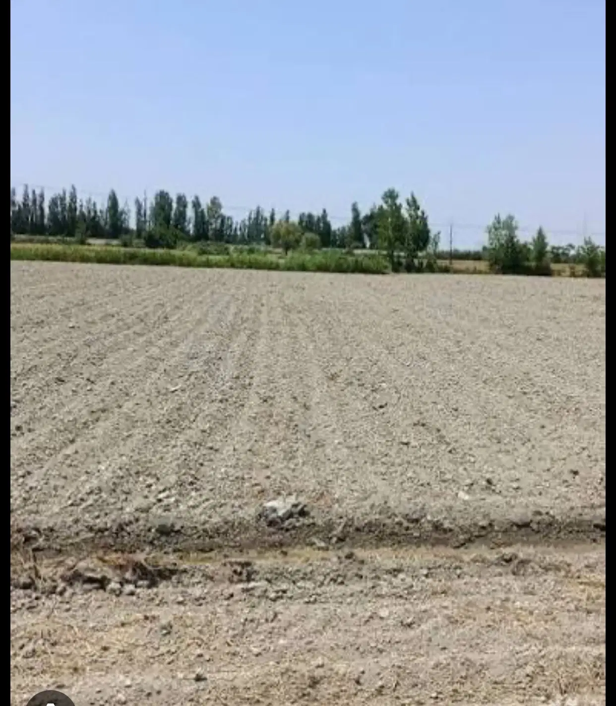 زمین زراعی ۴ هکتار اویل جاده زاغمرز سند تک برگ