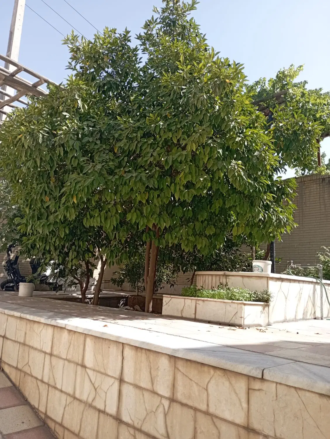 ملک مسکونی با ۶مغازه تجاری ۳نبش دربهترین منطقه