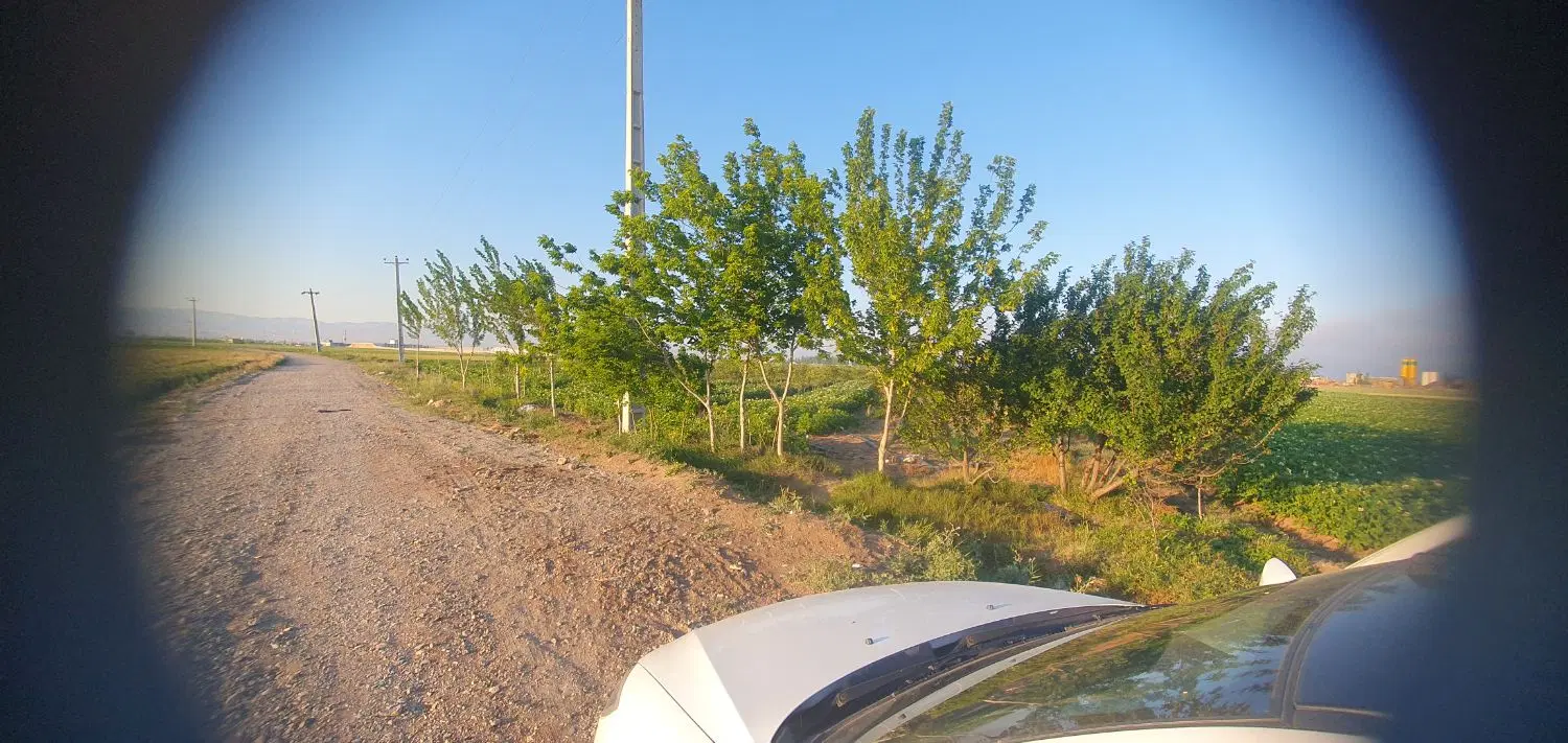 تقریبا باغ