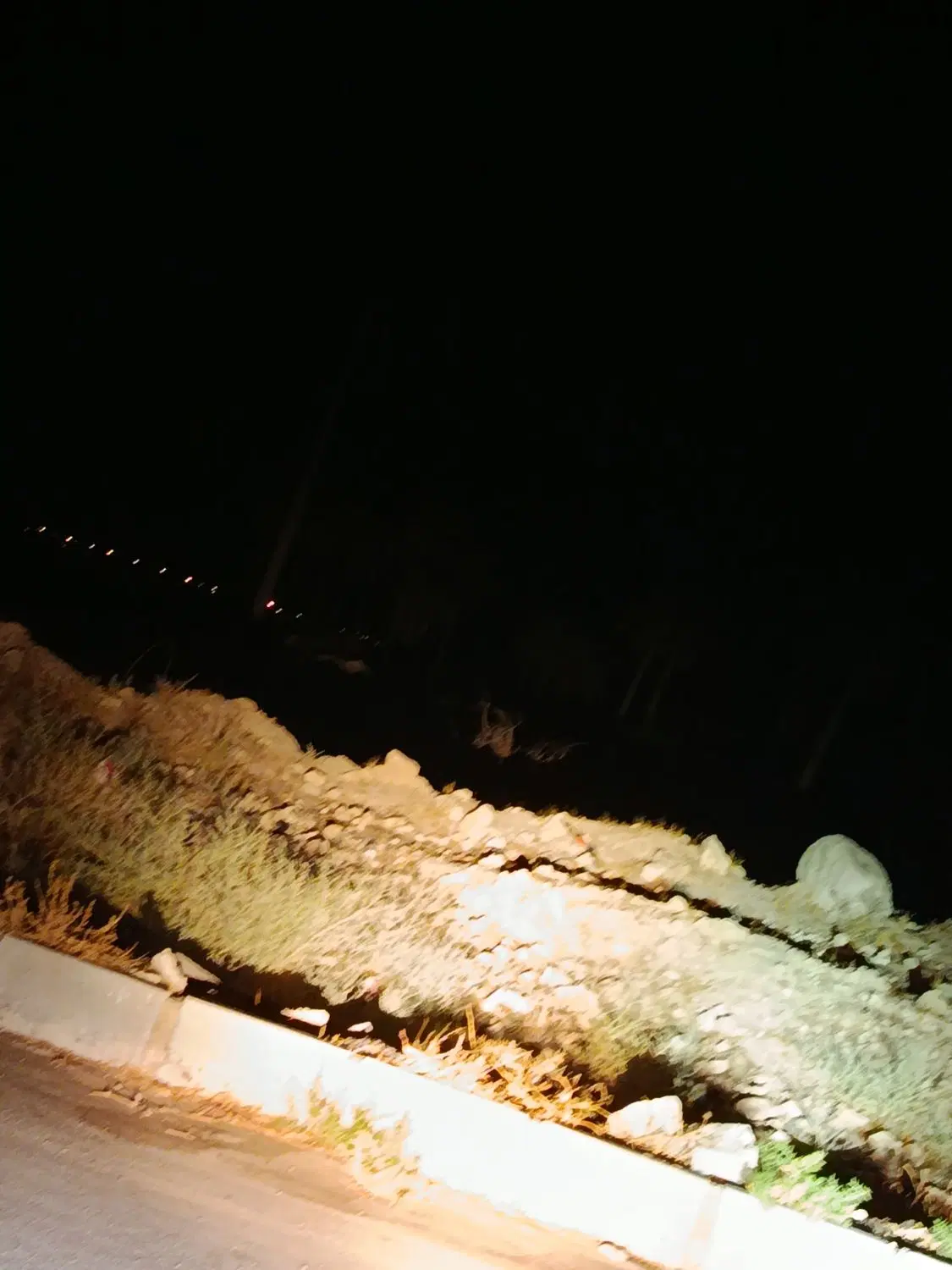 زمین باغک جنوبی