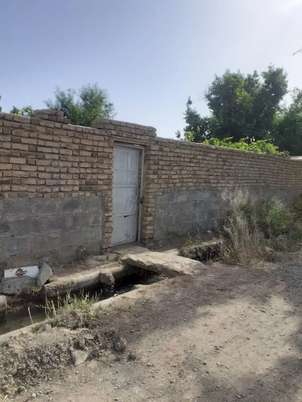 باغ انگور قنات قصبه