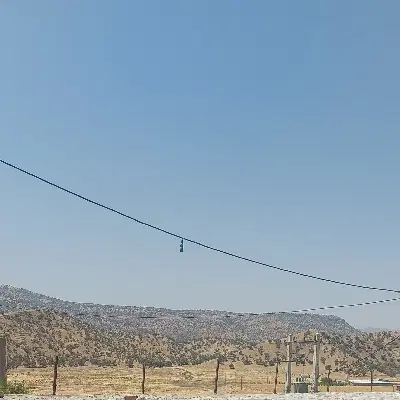 زمین کشاورزی