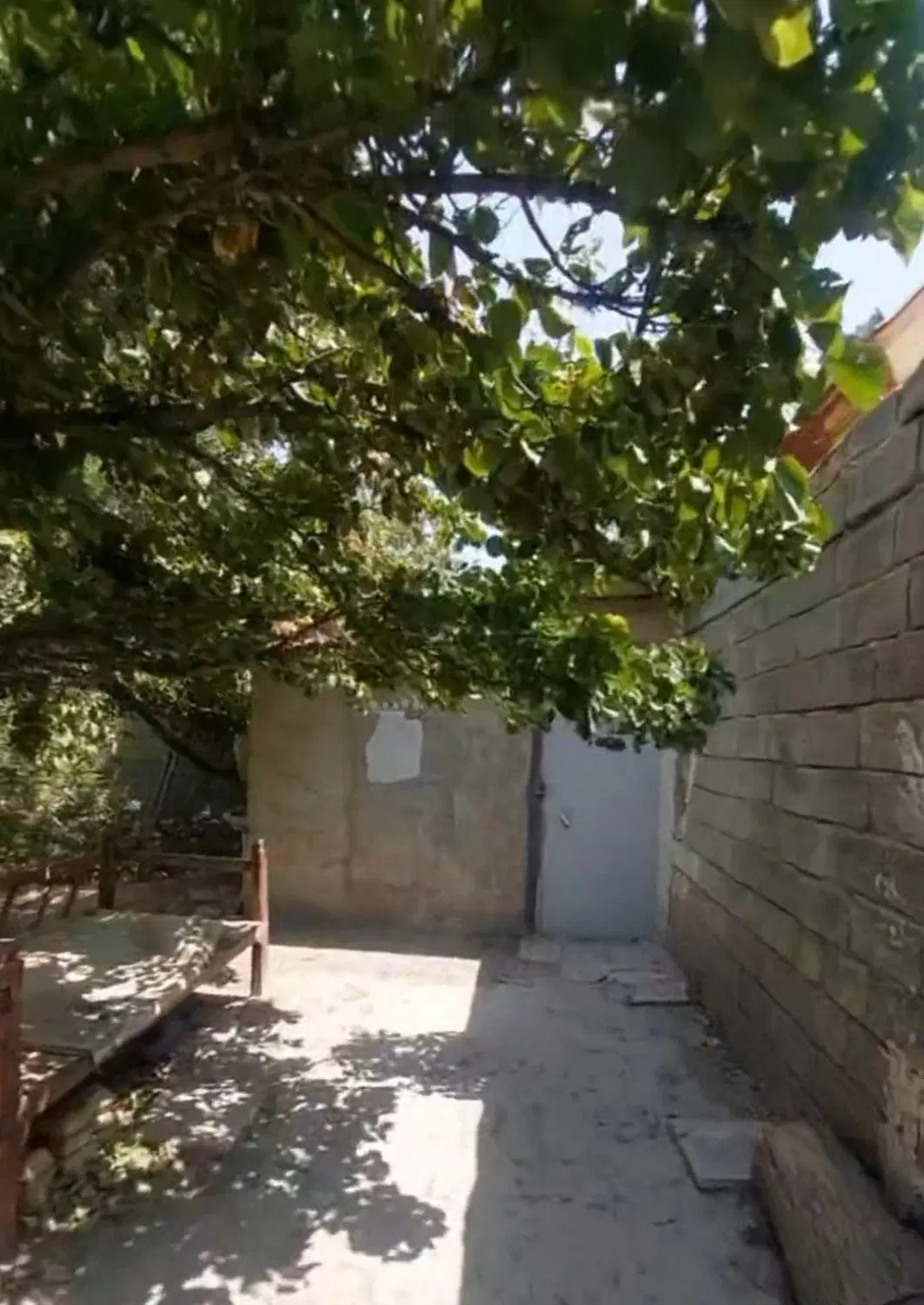 باغ قدیمی