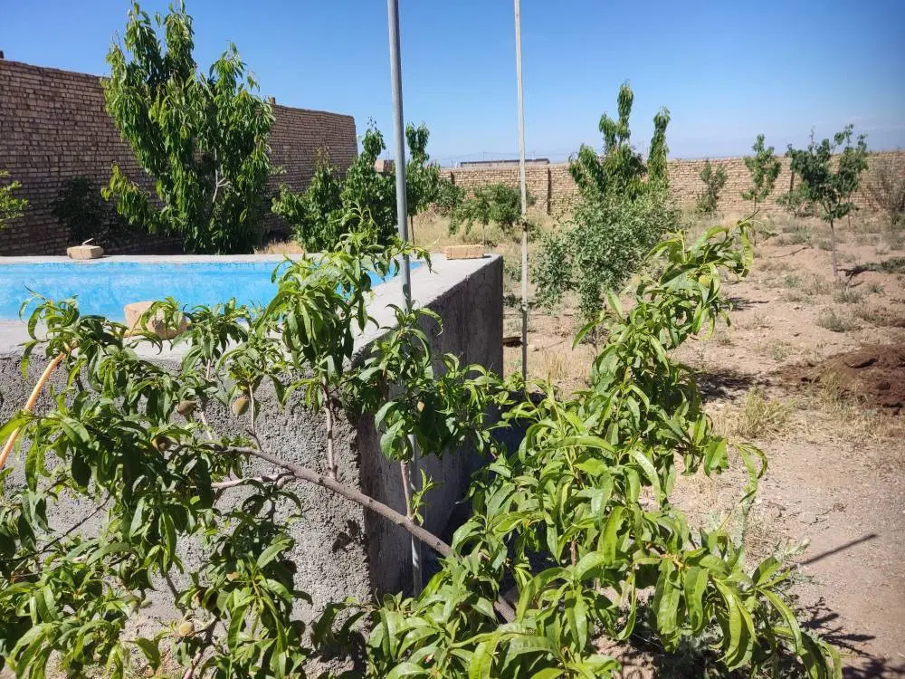 باغ.زمین
