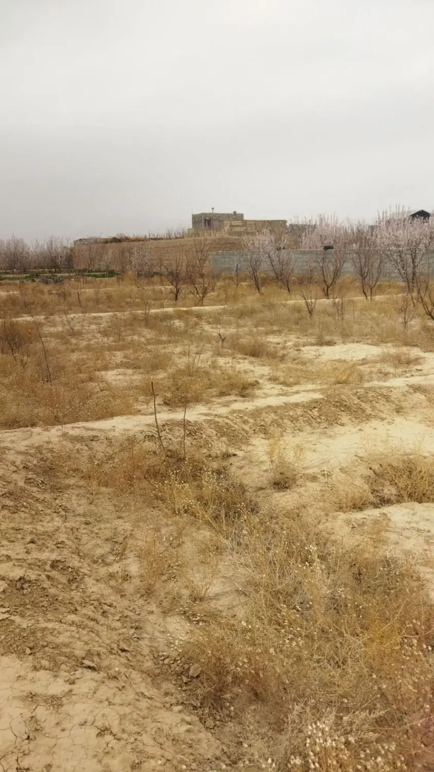 زمین باغ