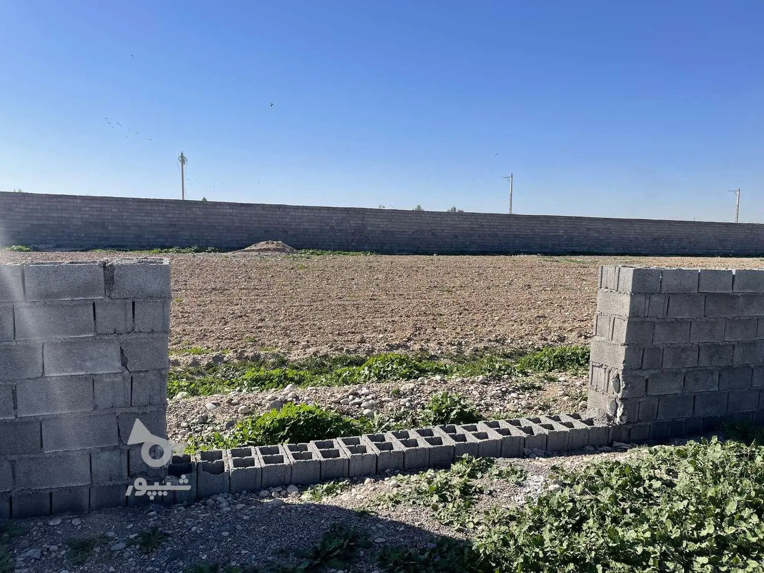 زمین باغچه