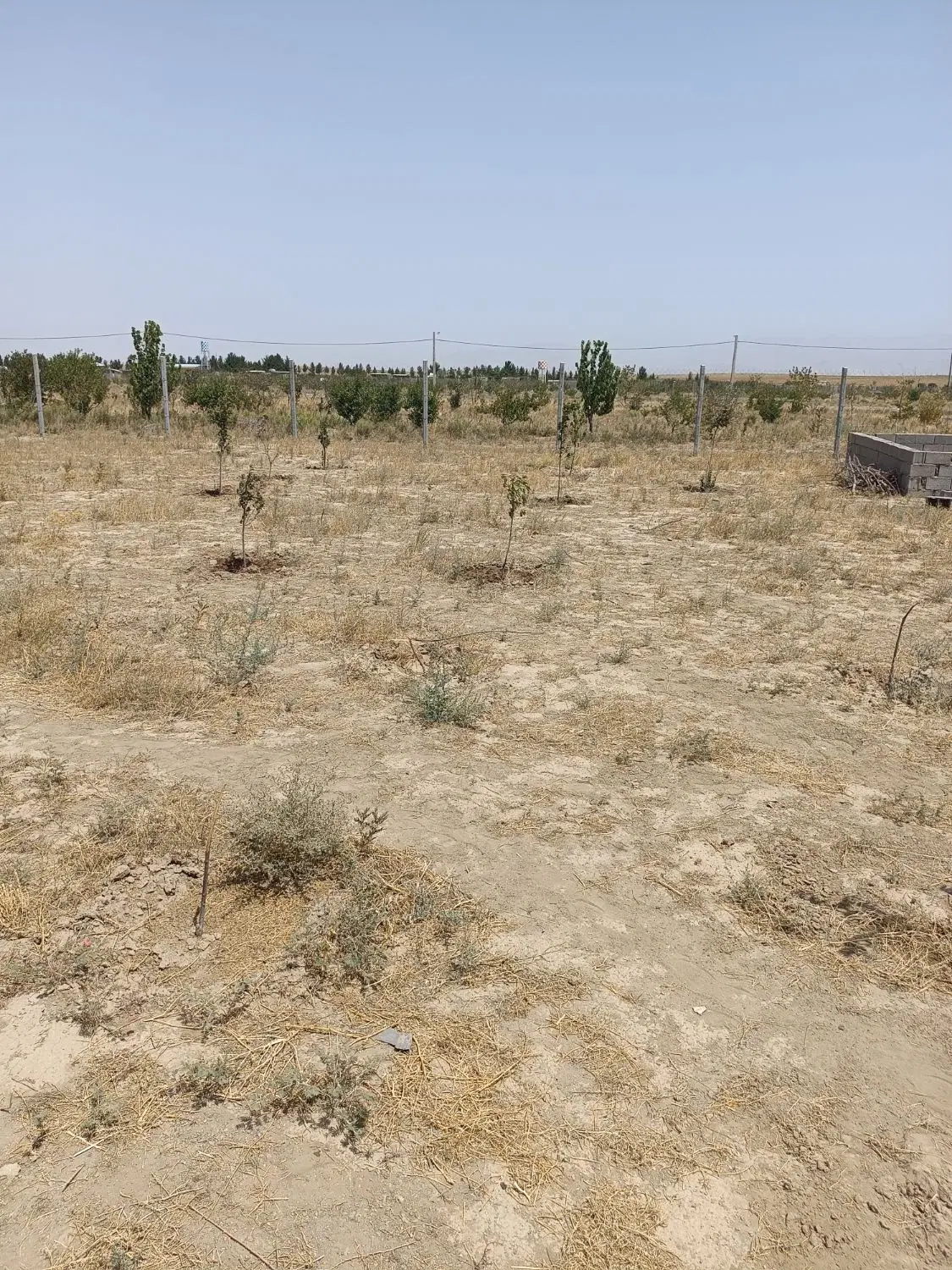 باغچه۱۰۰۰متری