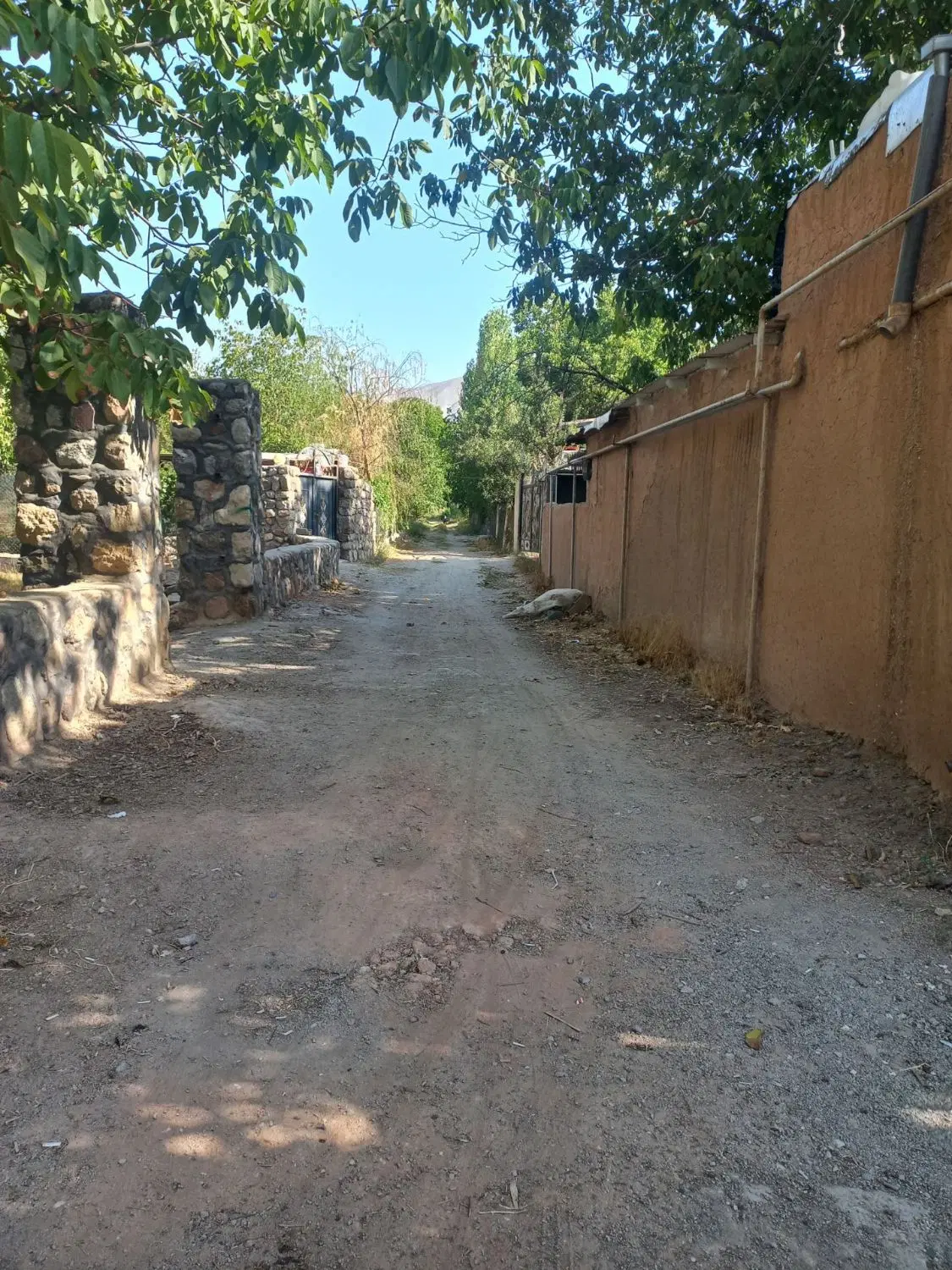 فروش زمین باقی
