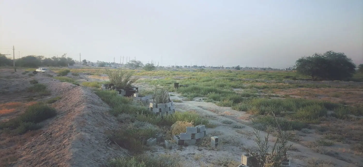 زمین گزبلند  ۳۵۰۰متر