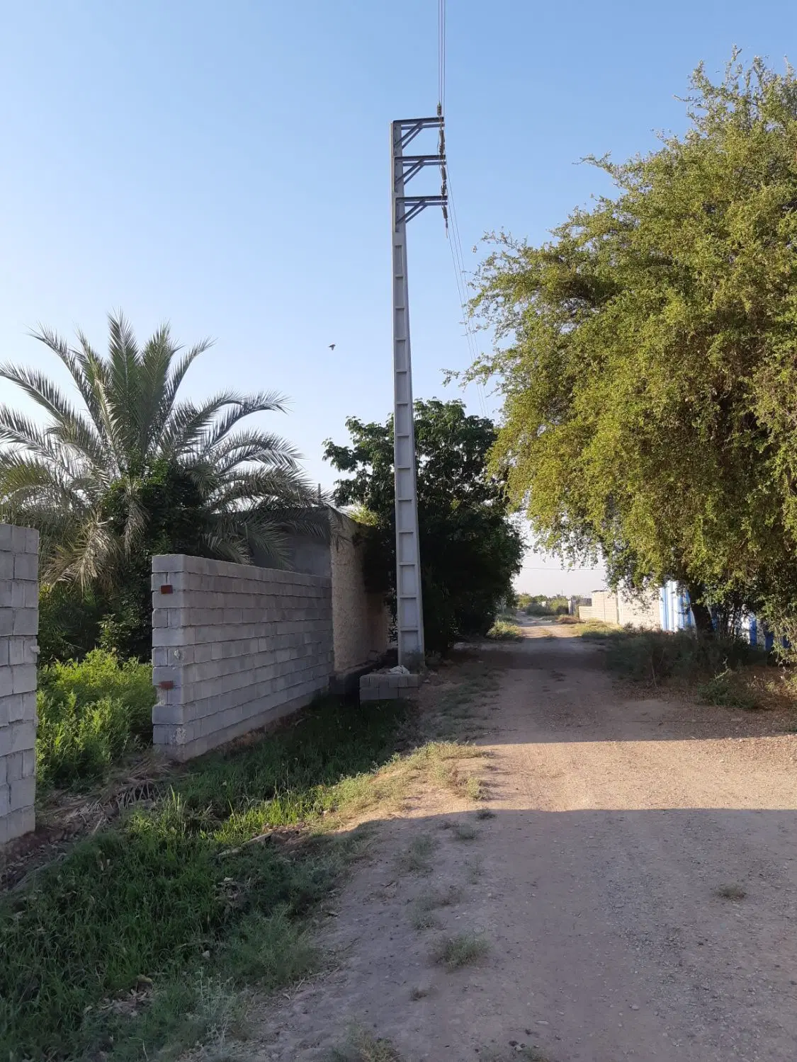 زمین باغچه ۵۰۰متری بن جعفر کوچه فرهنگیان