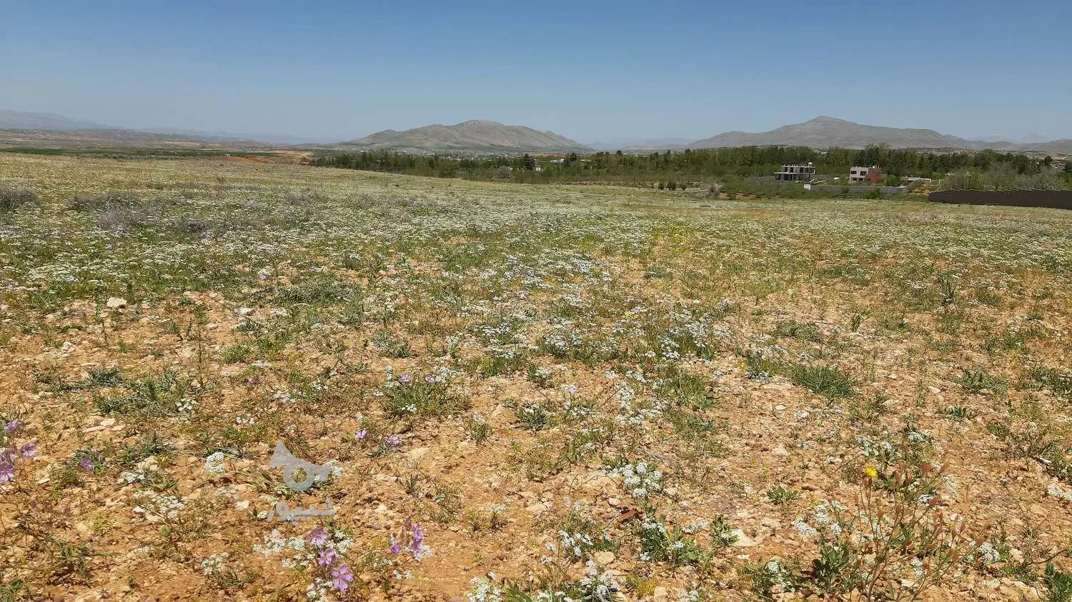 زمین باغی اول صدرا رو به روی دانشگاه
