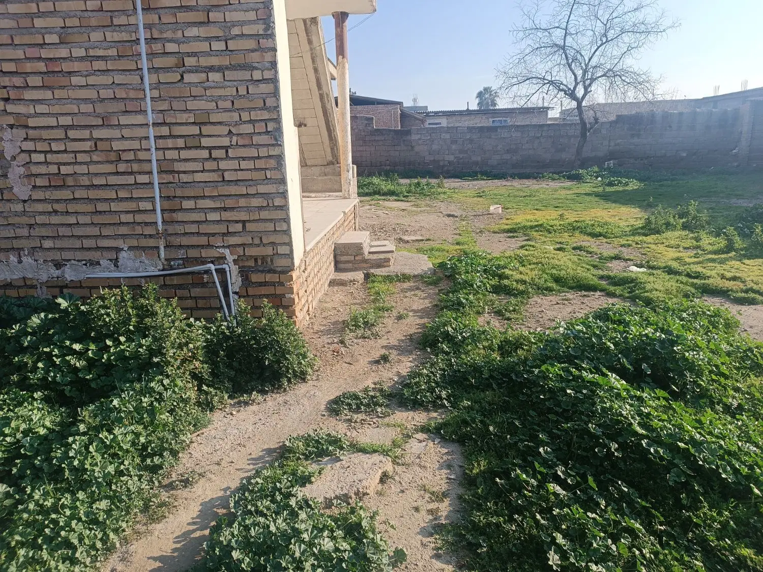 فروش حیاط مسکونی گنبدکاووس  روستایی کاکا