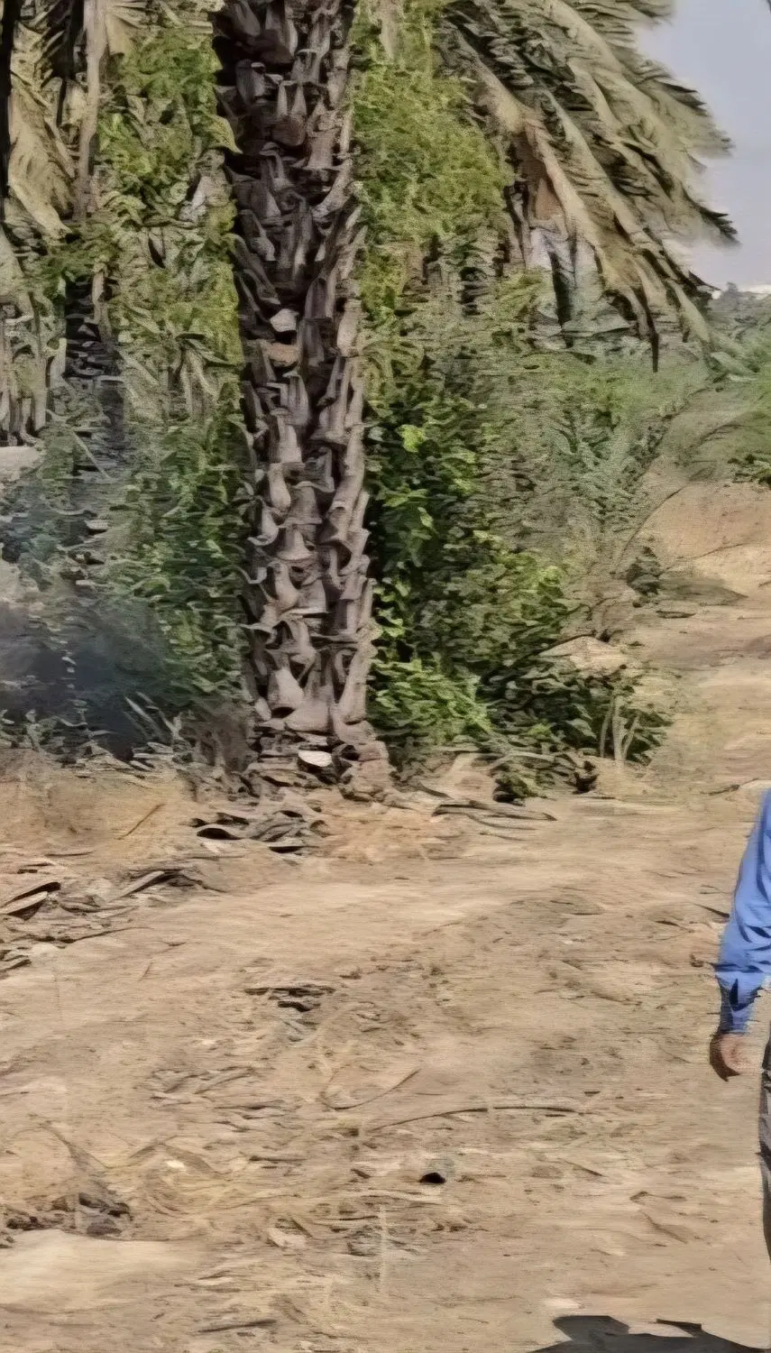 فروش زمین مزروعی