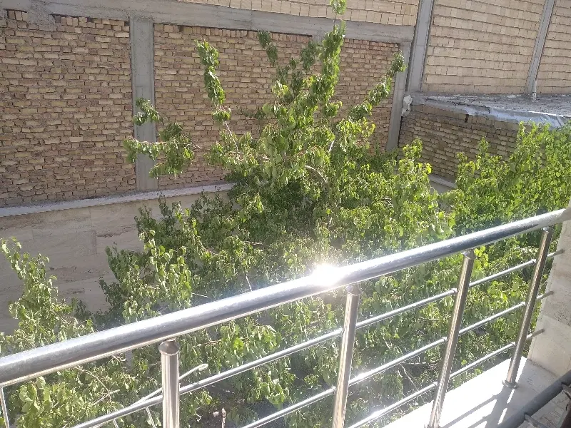 ویلایی،شخصی ساز