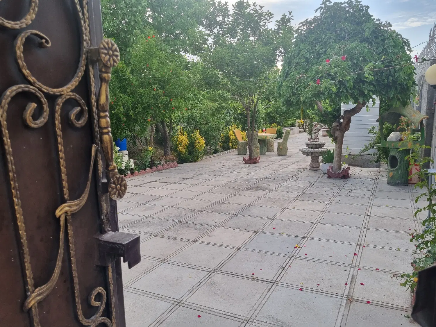 ۶۳۵ متر باغچه با درختان مثمر