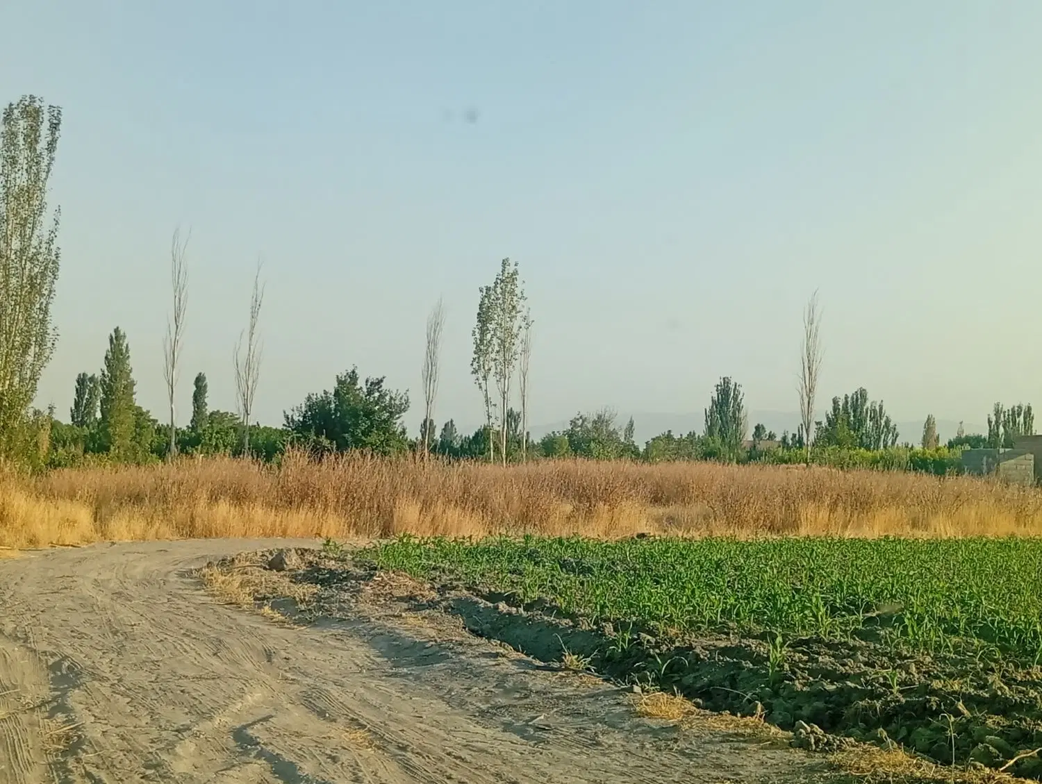 قطعه زمین امام زاده
