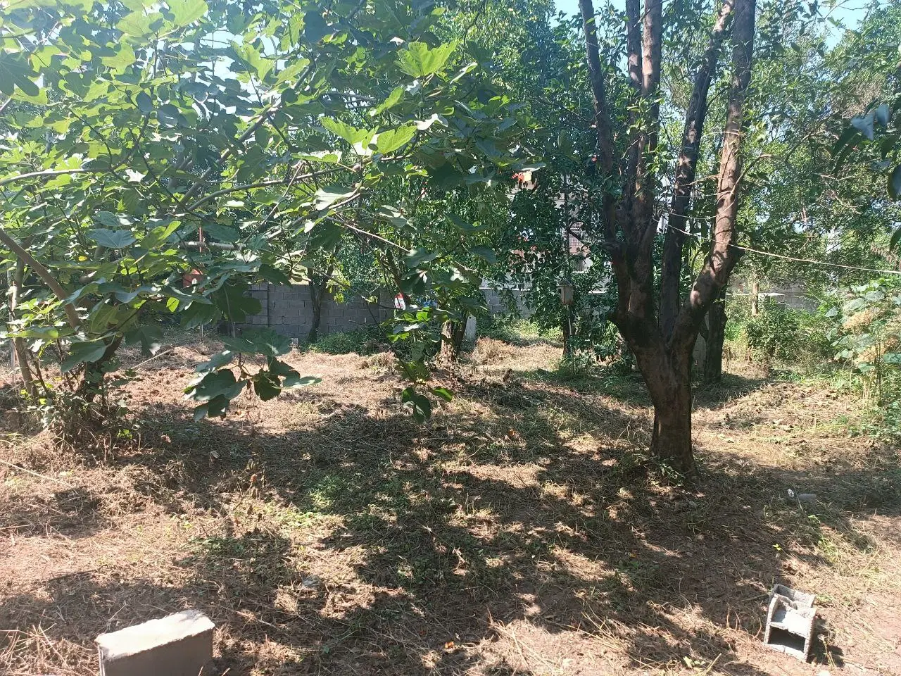 مسکونی قلعه گردن