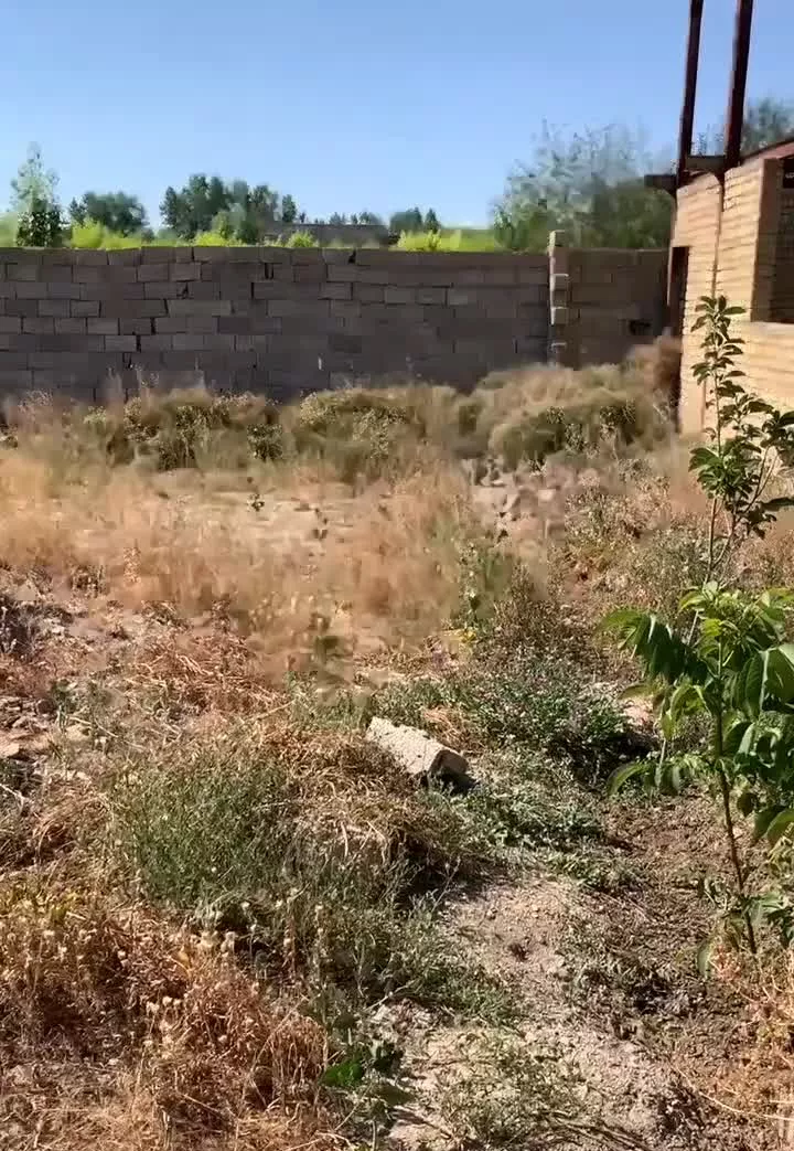 زمین به متراژه ۳۰۰ متر