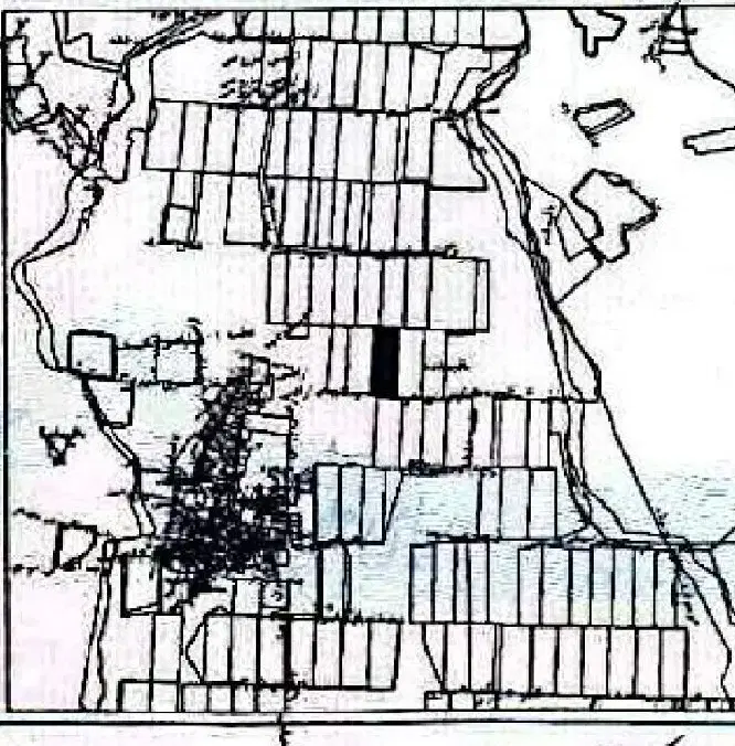 زمین کشاورزی
