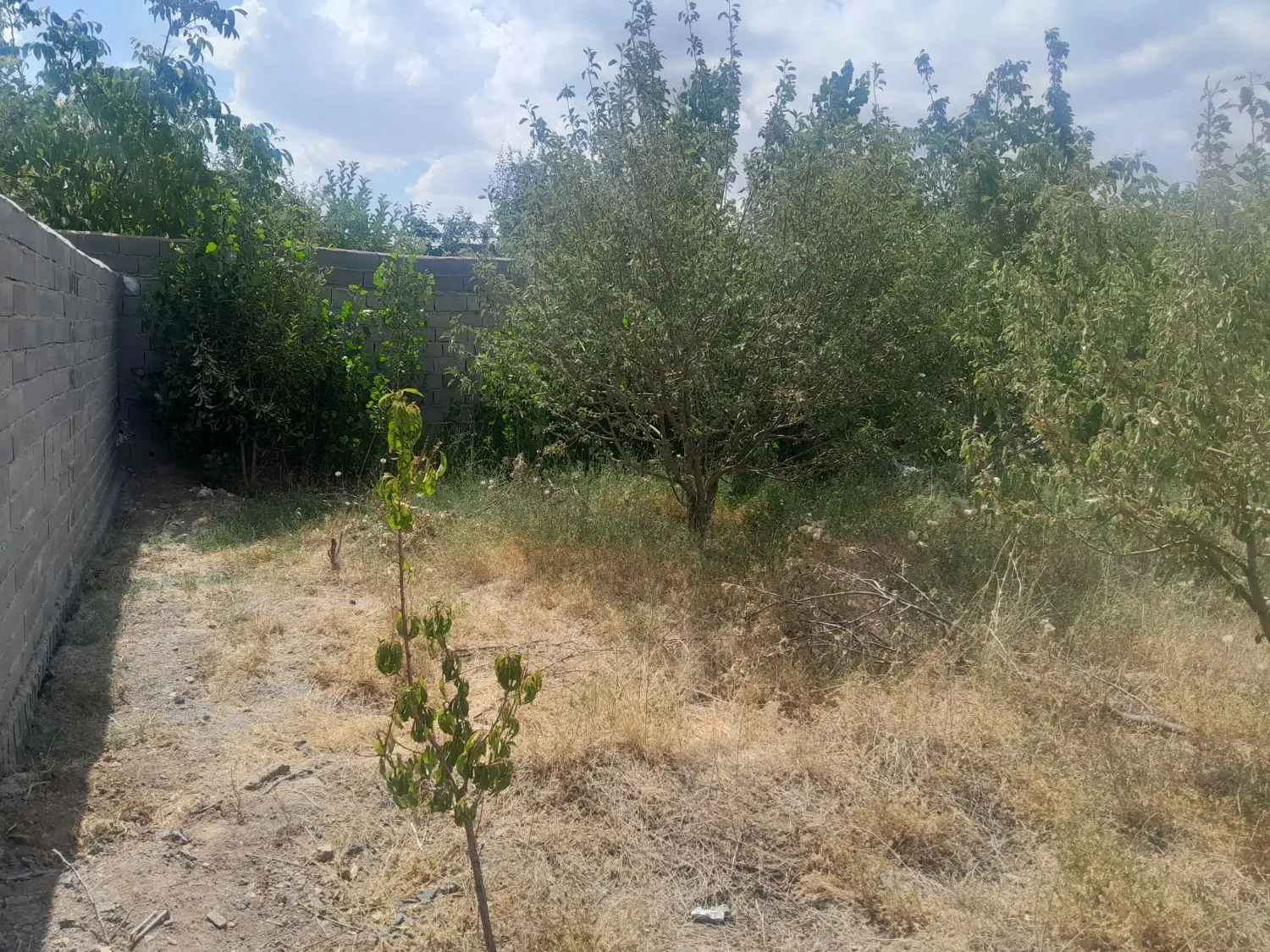 فروش ۲۵۰متر باغچه داخل شهرک