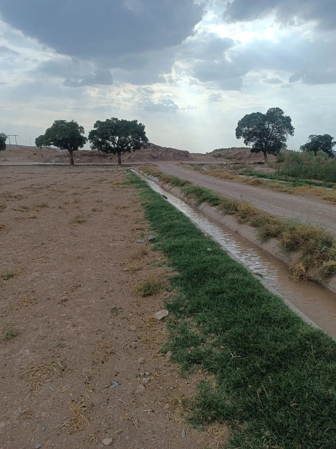 زمین