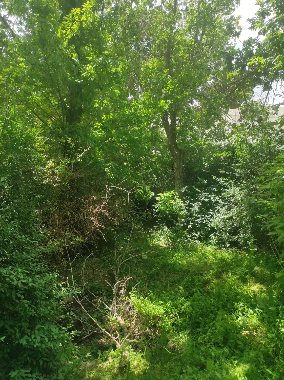 باغ دره مرادبیگ