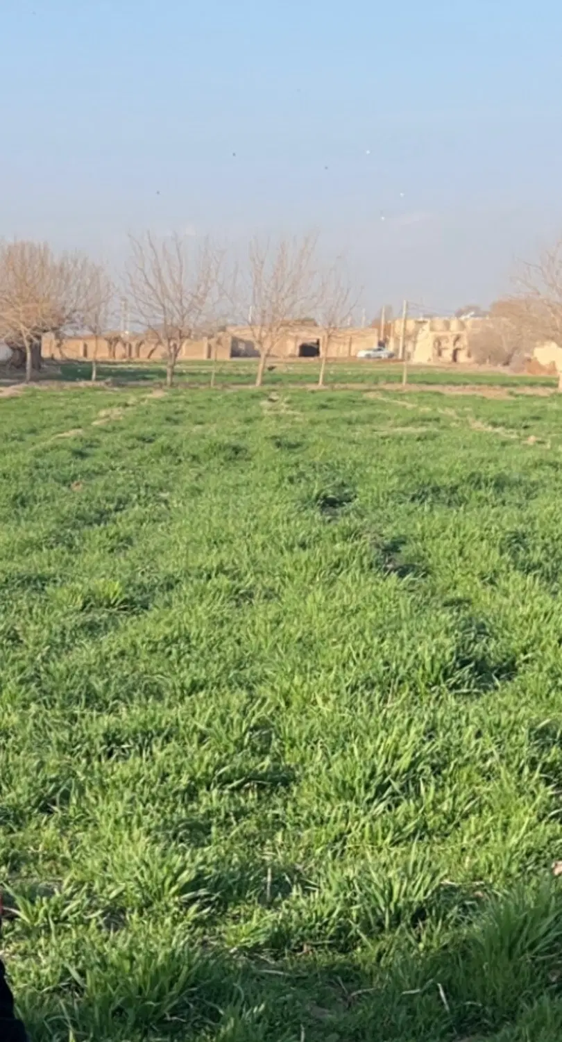زمین مناسب ویلا باغ