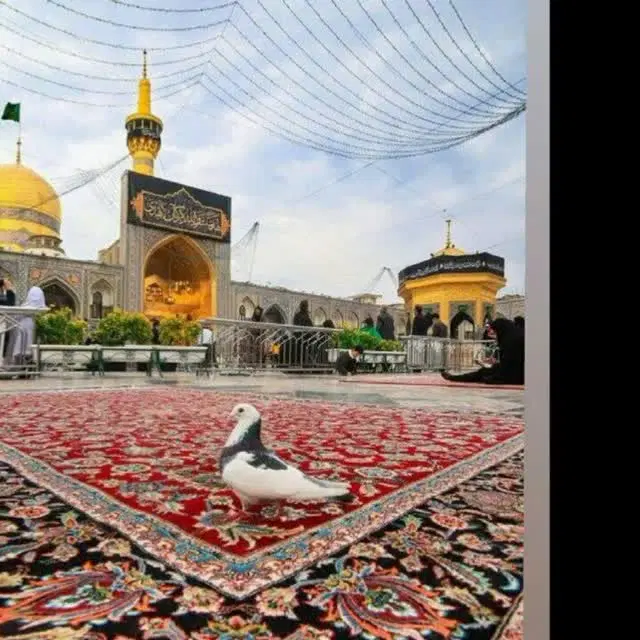 هم خونه میخام