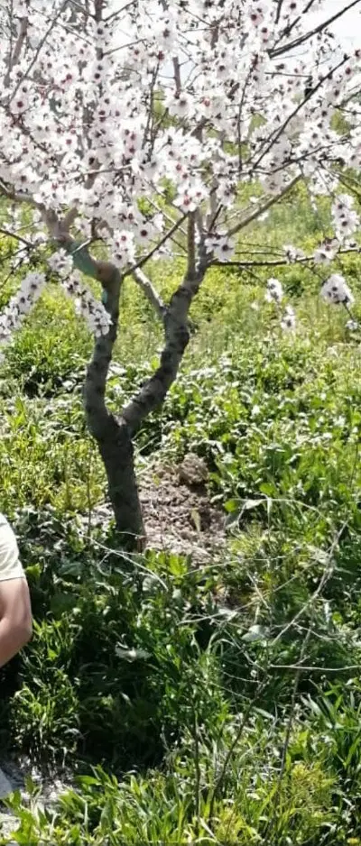 فروش باغ شهری ۱۵۰۰ متر